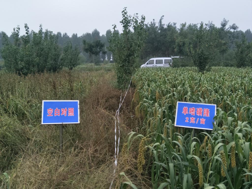公海555000线路检测中心