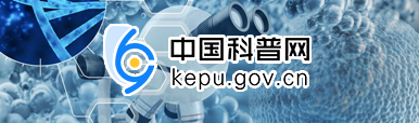 公海555000线路检测中心