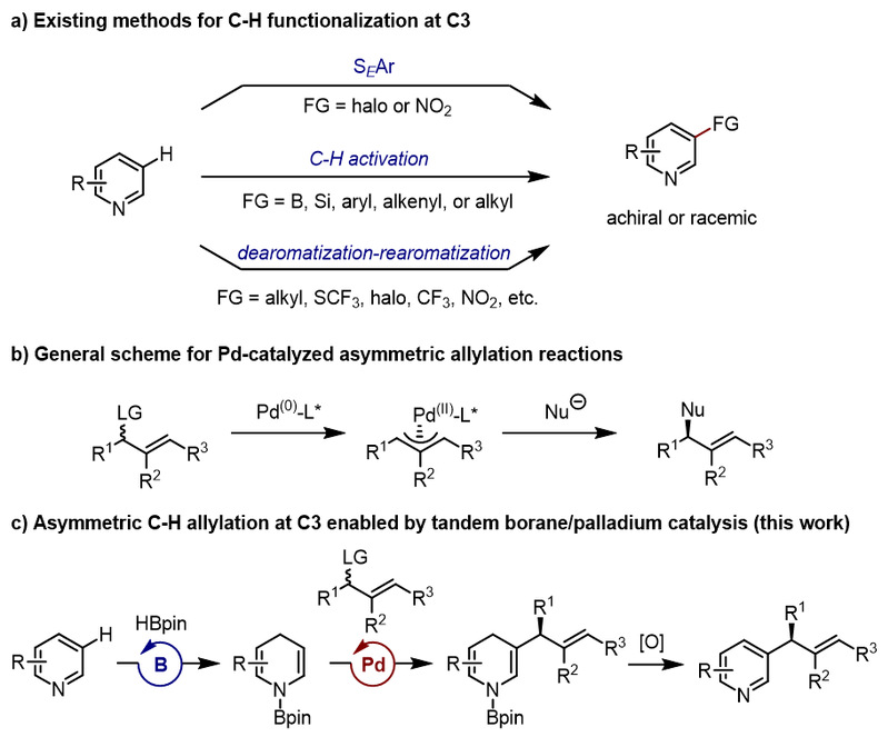 公海555000线路检测中心